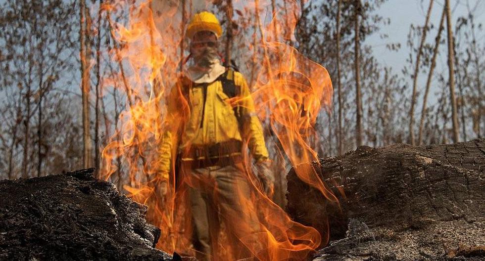 Un bombero se ve tras las llamas durante los combates de los incendios en la selva amazónica en Brasil. (Foto: EFE)