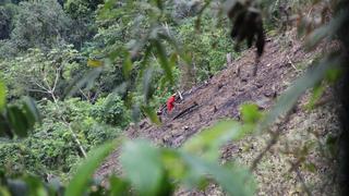 Deforestación se dispara y avanza sobre los bosques del Bahuaja Sonene