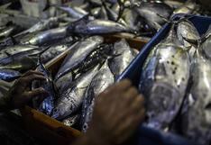 Chile: crean producto para extender vida útil de pescados frescos