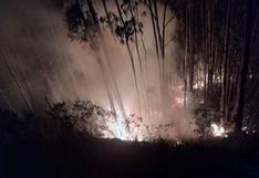 Áncash: reportan incendio forestal en la provincia de Sihuas
