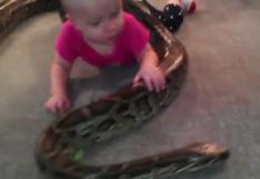 YouTube: Esta bebé tiene como juguete una serpiente