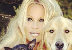 Pamela Anderson destaca aporte de Rusia a conservación de la vida animal