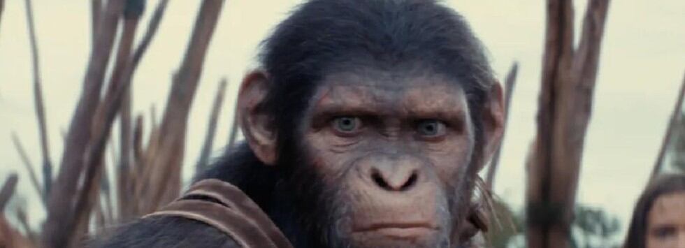 “El planeta de los simios”, ¿tendrá más películas después de “Nuevo reino”?
