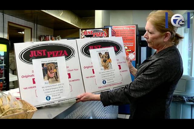 Perros y pizza