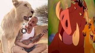 Hombre le canta a leones tema del ‘Rey león’ y momento se hace viral