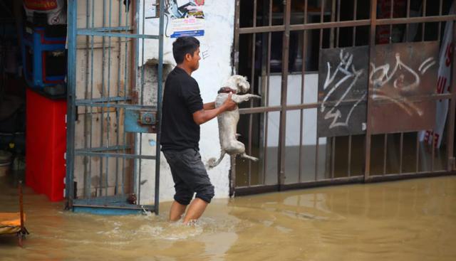 Pudo rescatar al can. (Foto: Giancarlo Ávila)
