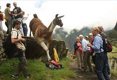 El turismo en el Perú crecerá hasta 14% el próximo año, estima el Mincetur