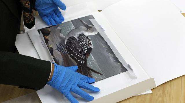 Los cuadernos de Antonio Raimondi. (Foto: Nancy Chappell/ El Comercio)