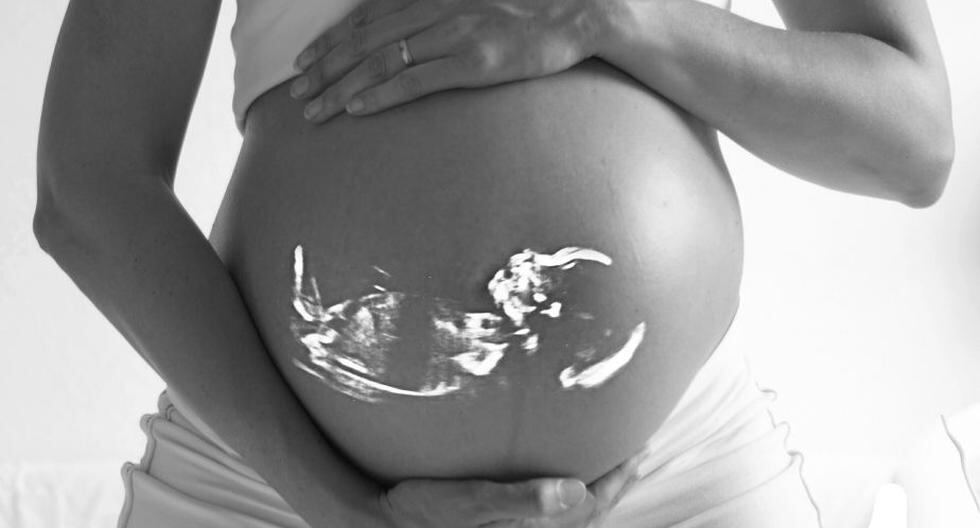Las partículas contaminantes producto de la quema de combustibles inhalados por las madre pueden desplazarse de los pulmones a la placenta. (Foto: Pixabay)