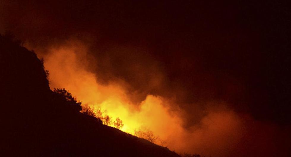 Así es como funciona la aplicación \"Woodpecker\", software que te informa dónde hay un incendio forestal y cómo evacuar. (Foto: Getty Images)
