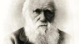 Día de Darwin: ¿cuándo es y a quién se rinde homenaje en esta fecha?