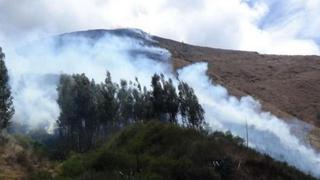 Pasco: extinguen incendio forestal en el distrito de Huariaca