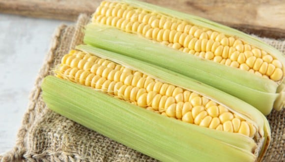 Aprende a elegir un buen elote (Foto: Freepik)