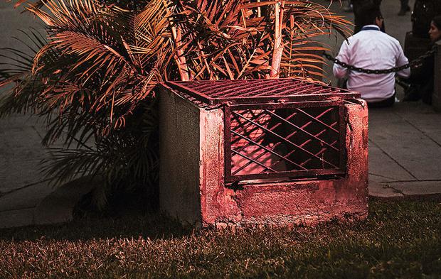 La historia del petiso de la Plaza San Martín que murió electrocutado. (Foto: Monarca Criollo)