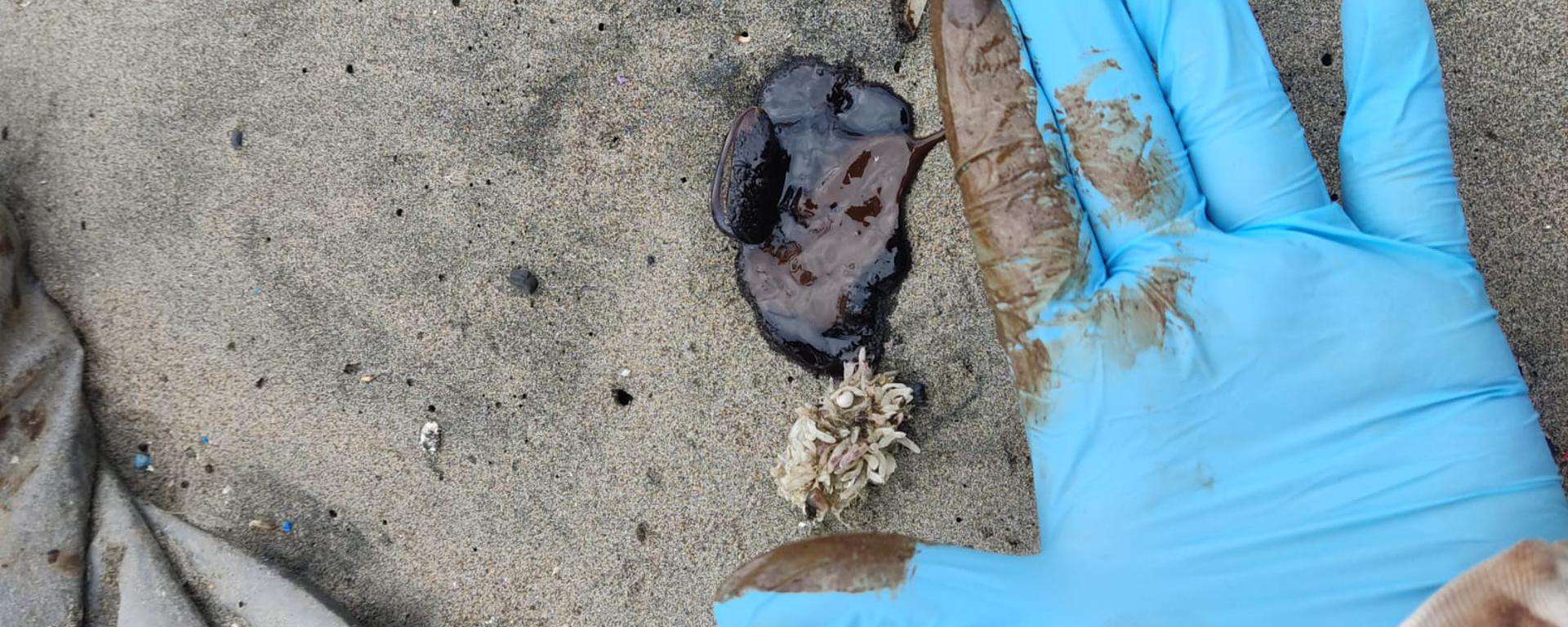 Un año del derrame de petróleo Repsol y todavía hay restos de hidrocarburo en las playas