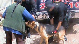 Huancayo: comerciante acuchilla a perro dentro de un mercado