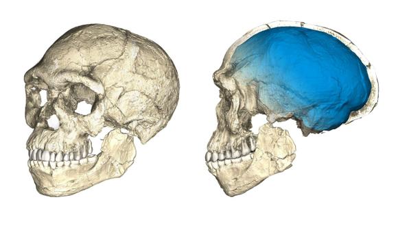 Los restos más antiguos conocidos del Homo sapiens han sido hallados en Marruecos, según un estudio que hoy hace público la revista especializada "Nature". (Foto: Reuters)