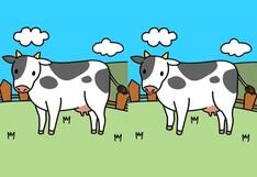 Encuentra las 5 diferencias entre estas dos imágenes de vacas pastando  