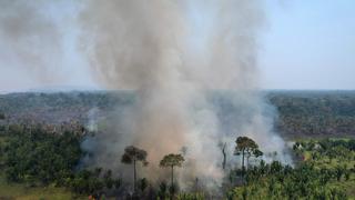 Elecciones Brasil 2022: Gobernador de Rondonia revoca protección de selva amazónica