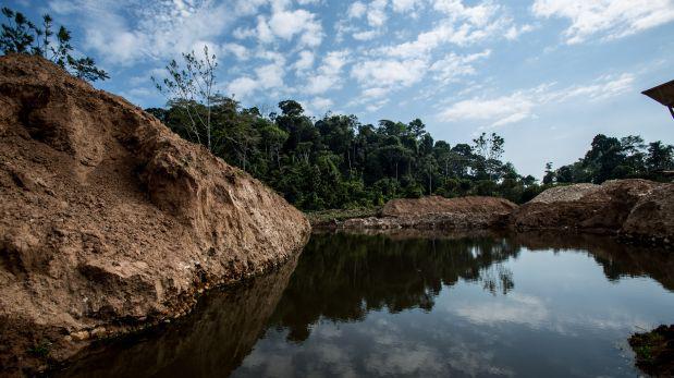 ¿Cuál debería ser el plan para el desarrollo de la Amazonía? - 2
