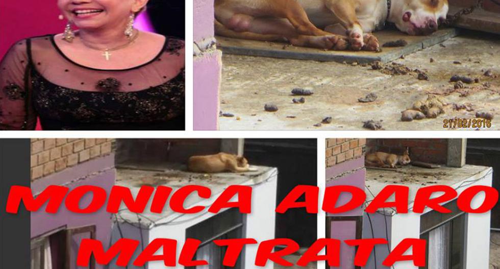 Mónica Adaro fue acusada de maltrato animal con esta fotografía en las redes sociales. (Foto: Facebook)