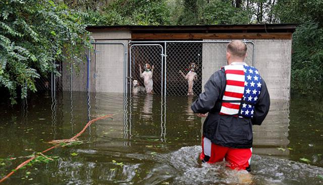 Hombre evita que perros en jaula mueran ahogados por tormenta Florence. (Reuters)