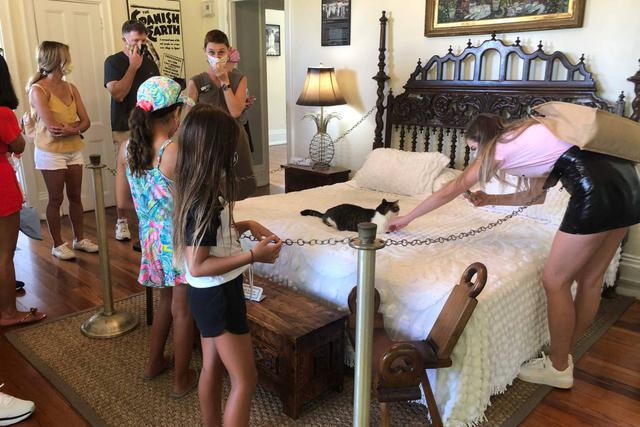 Algunos ciudadanos visitan la Casa y Museo de Ernest Hemingway en Key West, Florida. Los gatos mutantes atraen a ciudadanos locales en medio de la pandemia de coronavirus. (AFP / Leila MACOR).