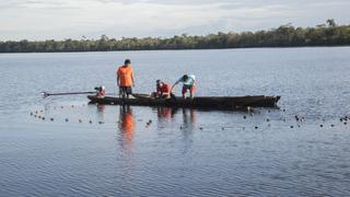 En video | ¿Cuáles son los riesgos detrás de la Hidrovía Amazónica? #MongabayExplica