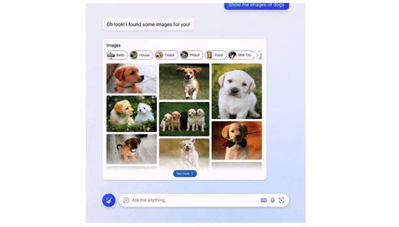 Bing incorpora imágenes y videos como parte de sus respuestas a los usuarios. (Foto: Microsoft)
