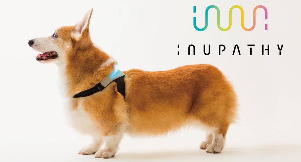 Este es el chaleco inteligente que te dice si tu perro estás feliz o triste. (Foto: Inupathy)