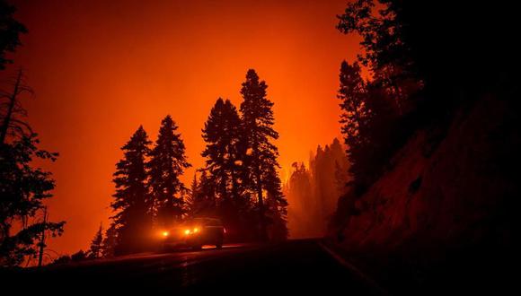 Un bombero comprueba desde su carro la evolución del incendio que arrasa el Parque Nacional de las Secuoyas, este martes, en California. (EFE/ Etienne Laurent).