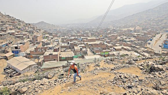 Lima tiene pocos espacios para disfrutar de la naturaleza. Las pocas áreas arboladas sufren la presión del crecimiento urbano descontrolado. Esta fotografía fue tomada desde un cerro de Huaycán. (Foto: Rolly Reyna / El Comercio)