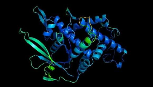 DeepMind consiguió predecir la formación de estructuras de proteínas como esta a un nivel inédito. (DEEPMIND/PA WIRE)