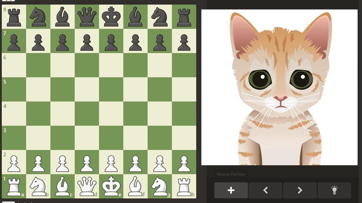 ajedrez, claves de redacción