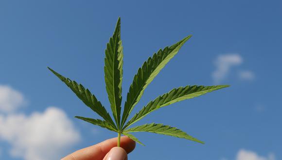 Imagen referencial del cannabis. (Foto: Pixabay)