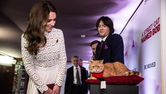 Catalina de Cambridge saluda al gato Bob, la estrella de la película "Un gato callejero llamado Bob". (Foto: AFP)