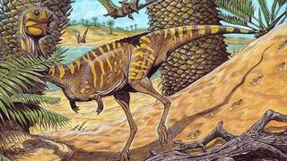 Descubren una nueva especie de dinosaurio “muy raro” en Brasil