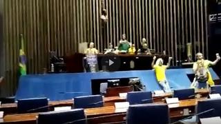 Tensión en Brasil: así destrozaron el Congreso, la Corte y la casa de gobierno