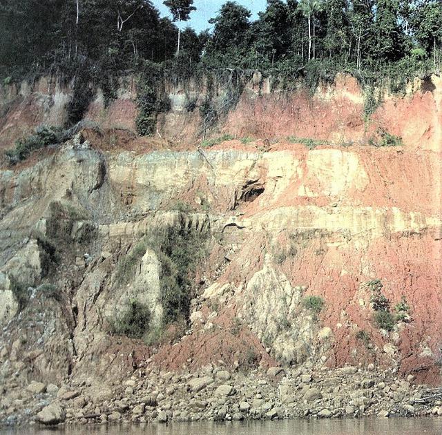 Los fósiles colectados fueron el resultado de los trabajos de campo, desarrollados mediante el convenio del Ingemmet con el Museo de Historia Natural de Los Ángeles.