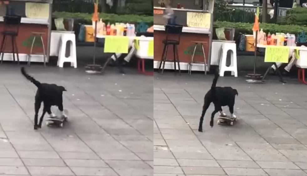 Un perro intentó montar su skate e impensado desenlace causa carcajadas entre miles de usuarios de las redes sociales. (Facebook)