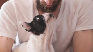 La barba tiene más bacterias que el pelaje de un perro, según estudio