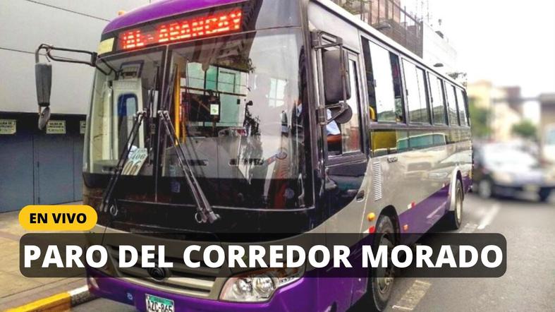 Corredor Morado EN VIVO: Reanudación del servicio y últimas noticias tras el acuerdo con el MTC