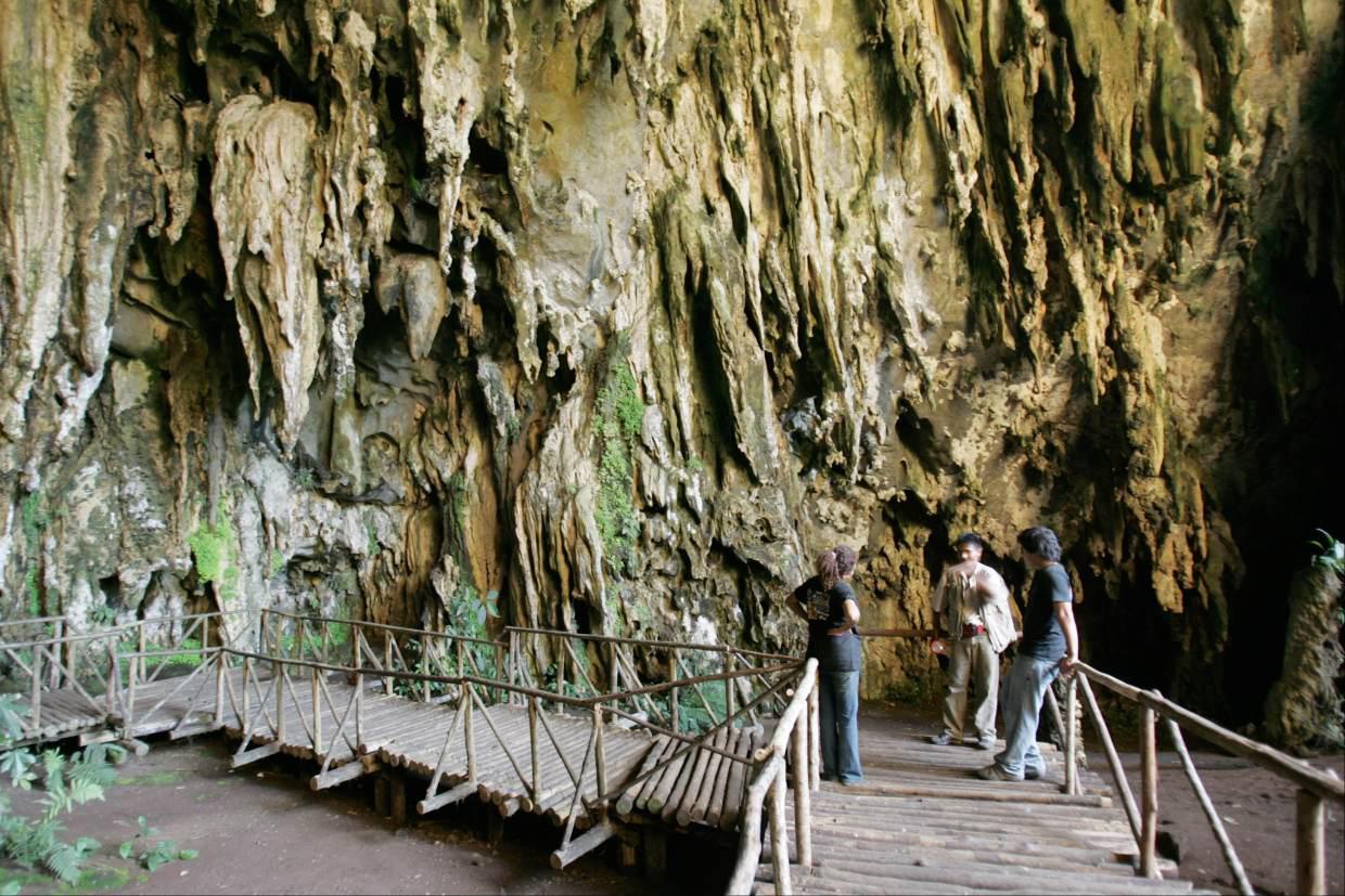 Aventura en la selva de Tingo María - 5