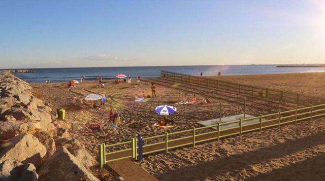 Desde junio Barcelona contará con una playa para perros  - 2