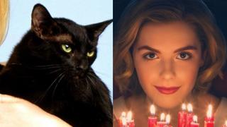 "Sabrina" de Netflix: Salem, el querido gato de la bruja, casi es cambiado por un perro