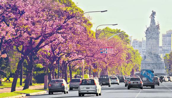 Rutas que florecen: Argentina, Uruguay y Brasil