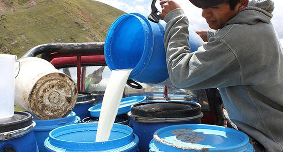 Gobierno del Perú inmovilizará lotes de producto lácteo por riesgo de salmonela. (Andina)