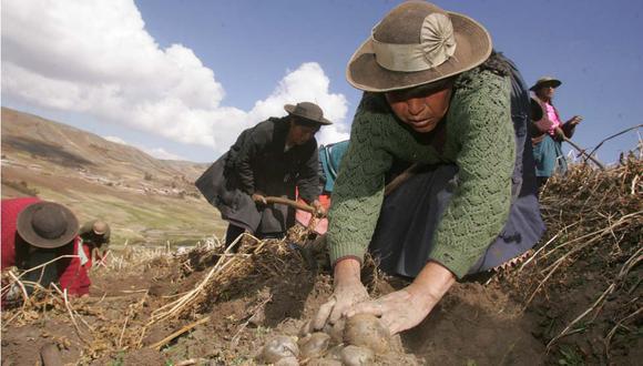 "Pedir más años de esfuerzo a las familias que retrocedieron en su economía familiar para llegar donde estaban antes de la pandemia sería demasiado sacrificio", dice Reusche. (Foto: GEC)