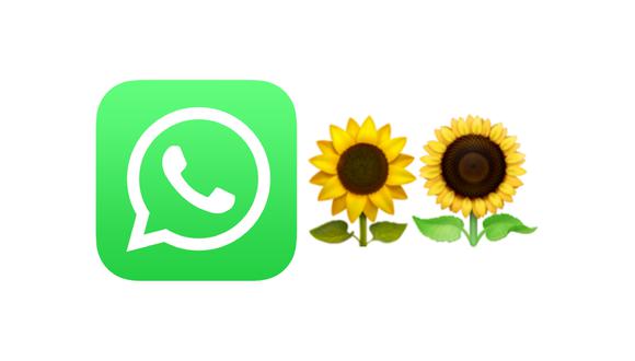 WhatsApp | Por qué los usuarios están enviando el emoji del girasol en  septiembre | Emoticones | Meaning | Significado | Primavera | Flores |  Amarillas | nnda | nnni | DATA | MAG.