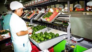 Agroexportaciones tocan máximo histórico al sumar US$4.758 millones entre enero y setiembre